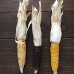 作品dry corn