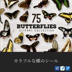 作品75枚 カラフルな蝶のシール/ Goodnotes用 テンプレート/ デジタル素材/ すぐにダウンロード