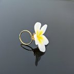 作品【実物撮影／発送可】【生花】Plumeria. 本物のお花　プルメリアのリング　10号