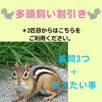 作品☆多頭飼い割引き☆質問3つ＋伝えたい事