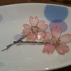 作品【春にお勧め！】桜のピン留め💕