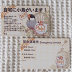 作品飼い鳥のための緊急連絡先カード