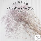 作品大地農園！プリザーブドフラワー「ミニカスミ草 パウダーパープル 10g」プリザ カスミ草 カスミソウ 花材 ハーバリウム おしゃれ かわいい プレゼント 贈り物 オオチノウエン