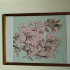 作品手描き友禅　山桜の染絵