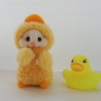 作品オヤビンハムハム(白っこ)🐹🐤