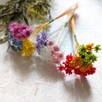 作品おためしに９色のスターフラワーブロッサム　小さな花束　tinyBouquet