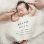 作品Hello Baby Tapestry - two-tier | ニューボーンフォト | バースデータペストリー  [ 送料無料 プレゼント付 ]