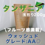 作品《数量限定》タンザニア ウォッシュド AA 200g 自家焙煎珈琲豆 コーヒー豆