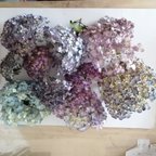 作品ラスト紫陽花ドライフラワー大量