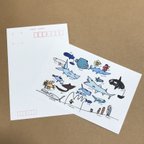 作品お魚図鑑  絵葉書〜  オリジナル  子ども サメ  マンボウ