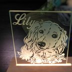 作品【LEDライト版】ペットのアートフレーム　～思い出を形に～　犬猫鳥OKです