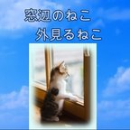 作品チャリティー動画　窓辺のねこ外見るねこ(幸せなねこの物語)　mp4ファイル送付、ユーチューブ公開or限定公開も選択可能　保護施設に寄付分を値引きします。