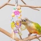 作品【鳥のおもちゃ】トロピカル・カクテルパーティー（小型インコ・中型インコサイズ）