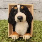 作品羊毛 フェルト 犬  バーニーズ フレーム 愛犬  犬 バーニーズマウンテンドッグ オーダー 虹の橋