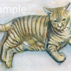 作品With The Gentle Tiger 一点もの　色鉛筆、アクリル絵画　真作