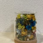 作品bottled flowers  -  september