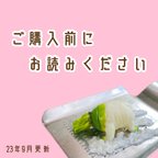 作品ご購入前にお読みください