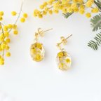 作品flowerJewelry  earaccessory「mimosa」