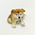 作品動物図鑑みたいな小さなブローチ／秋田犬の仔犬