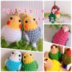 作品【受注製作】うちの子オーダー☆まめっこインコ