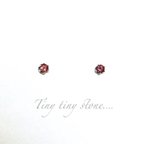 作品ステンレス ＊tiny tiny stone＊一粒ピンクガーネットのスタッドピアス(金属アレルギー対応・サージカルステンレス・天然石)