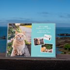 作品ほっこり島猫 さちカレンダー2023　Island Cats Sachi Monthly Calendar2023