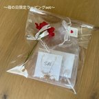 作品母の日　ギフトラッピング　母の日ギフト　ギフト　プレゼント　アクセサリー　ネックレス　ピアス　イヤリング　ブレスレット　リング　指輪　ヘアアクセサリー　母の日アクセサリー　カーネーション　花ギフト