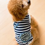 作品〈再販〉犬服 ネイビーボーダーのアメリカンタンクトップ