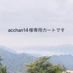 作品acchan14様専用カートです。