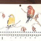 作品野鳥のカレンダー 2024 (壁かけ版)