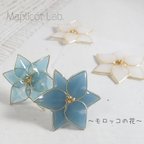 作品モロッコの花ピアス＊*