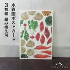 作品★ポストカード 野菜 3枚セット