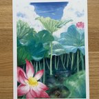 作品ポストカード(2枚)　蓮と亀　夏の日