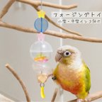 作品【鳥のおもちゃ〈小型・中型インコ向け〉】カラフルおやつカプセルのフォージングトイ〈お星さま〉