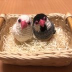 作品momijiyukiさま専用ページ♡桜文鳥ちゃん＆白文鳥ちゃん