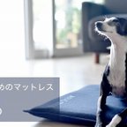 作品NAPOP 　犬のためのマットレスAIR-D 　ベーシックタイプ