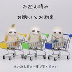 作品《お迎え時のお願いとお約束》お迎え前に必ずご一読ください。