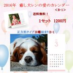作品2016年　癒し犬レンの愛のカレンダー（B-1）