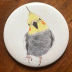 作品缶バッジミラー　オカメインコ