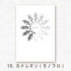 作品[選べるポストカード] No.15 カメレオン(モノクロ)