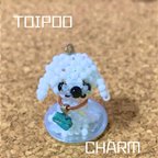 作品【トイプー】子犬のチャーム＊オリジナル【ターコイズ】