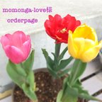 作品momonga-love様orderpage