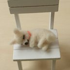 作品【送料無料】羊毛フェルト お昼寝わんちゃん