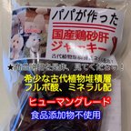 作品作りたておやつ！パパが作った国産無添加の鶏砂肝ジャーキー（添加物不使用）