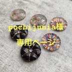 作品pochijunia様専用　