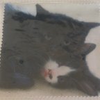 作品【マイクロファイバークロス】きょうだいこねこ