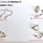 作品ピアス⇔イヤリング変更可能です。パーツをお選びください