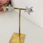 作品グルーデコ  スターフィッシュ  ピアス　silver