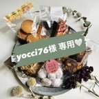 作品yocci76様専用☆ 《 クッキー5種詰め合わせ 》