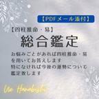 作品【四柱推命・易】総合鑑定【PDFメール添付】